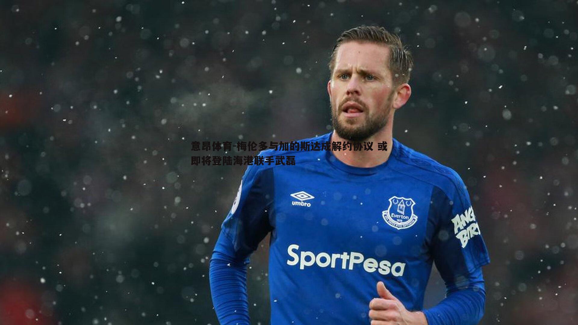 梅伦多与加的斯达成解约协议 或即将登陆海港联手武磊